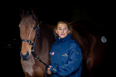 Groom Emma Murphy waits to show Imagine to prospective purchasers at Tattersalls dispersal sale 5/2/2024