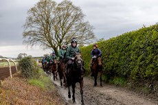 A general view of Willie Mullins horses on the gallops at Closutton 17/4/2024