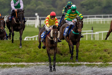 Barry Walsh and Singing Banjo on their way to winning The Mongey Communications La Touche Cup Cross Country Steeplechase 2/5/2024