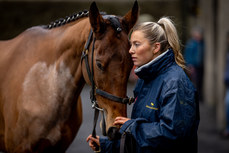 Emma Murphy waits to show Imagine to prospective purchasers at Tattersalls dispersal sale 5/2/2024