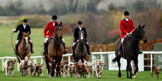 A view of the Meath Hounds parade 17/11/2024