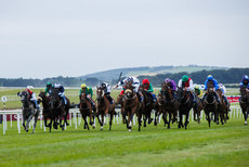 Ronan Whelan onboard Lord Church comes home to win 28/6/2024