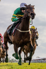 Mark Walsh wins The WilllowWarm Gold Cup 31/3/2024
