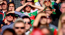 Mayo fan looks on near the end of the game 24/4/2022
