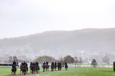 Gordon Elliott's horses on the gallops this morning 13/3/2023