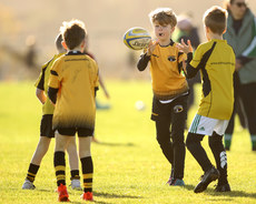 A view of the action at Balbriggan RFC 19/10/2024