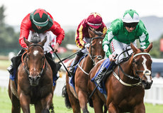 Chris Hayes (green silks) onboard Back Down Under comes home to win 28/6/2024