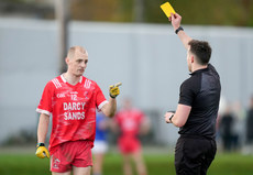 Paddy O`Rourke receives a yellow card 10/11/2024