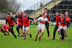 Coolera Stranhill players celebrate at the end of the game 17/11/2024