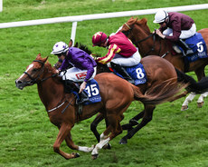 James Ryan onboard Courageous Strike comes home to win 28/6/2024