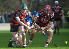 Oisin Finn, Declan Cronin, and Anthony Burns 10/11/2024