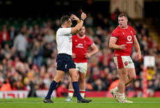 James Doleman shows a red card to Samu Kerevi after a bunker review 17/11/2024