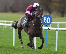 Harry Swan on Whinney Hill wins 16/11/2024