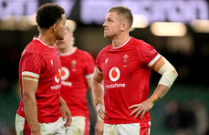 Gareth Anscombe dejected after the game 17/11/2024