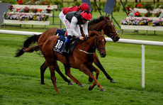 Chris Hayes onboard Red Viburnum comes home to win 26/6/2024