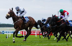 Ronan Whelan onboard Lord Church comes home to win 28/6/2024