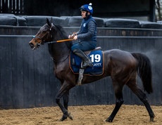 Bobby McNally on Farren Glory 18/11/2024