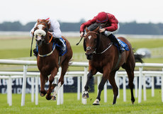 Ben Coen onboard Siege of Troy comes home to win 28/6/2024