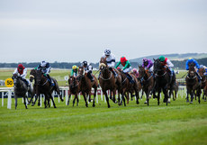 Ronan Whelan onboard Lord Church comes home to win 28/6/2024