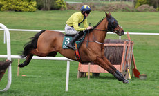 Michael O’Sullivan on Slane Hill wins 16/11/2024