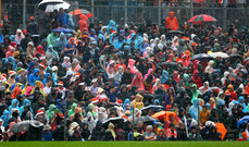 Fans in the rain 12/5/2024