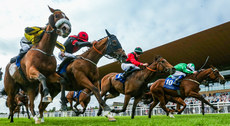 Chris Hayes (green silks) onboard Back Down Under comes home to win 28/6/2024