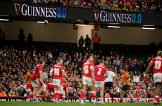 Fans watch on during the game 17/11/2024